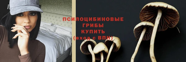 ПСИЛОЦИБИНОВЫЕ ГРИБЫ Зеленодольск