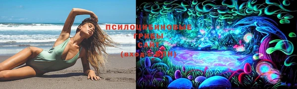 ПСИЛОЦИБИНОВЫЕ ГРИБЫ Зеленодольск