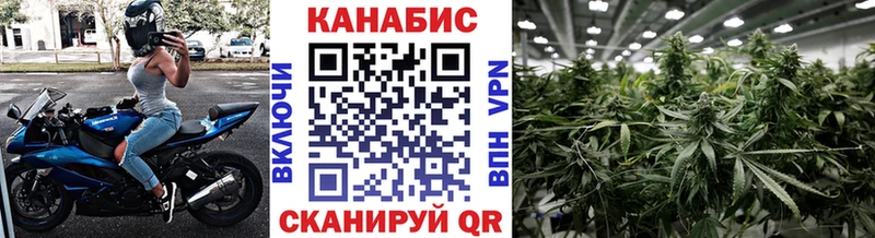 Купить закладки  Ишим  Конопля марихуана 